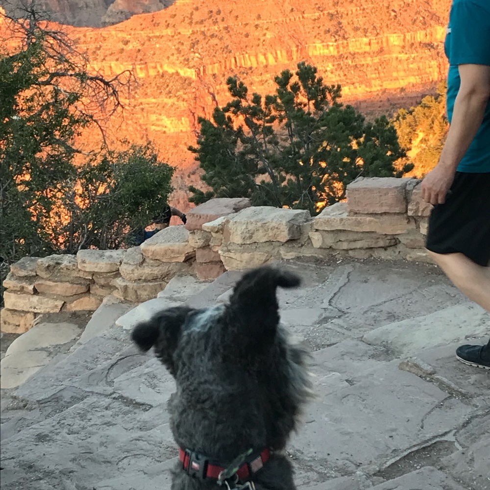 Welcome to my closet!!